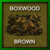 skl_boxwoodbrn.png