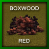 skl_boxwoodred.png