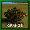 orange.png