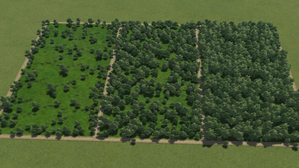 Livestock Wooded Forest